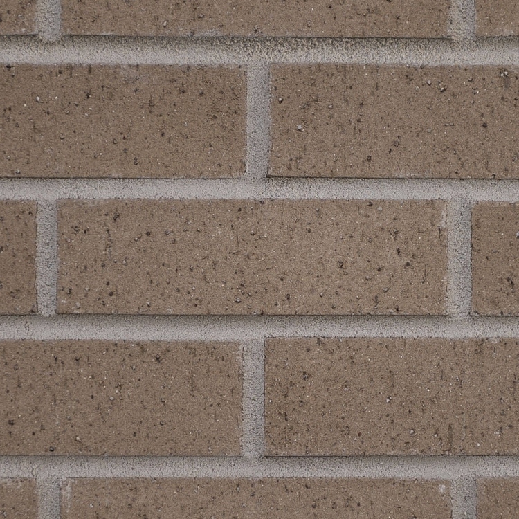 Palmetto Brick .75 Greystone Wirecut