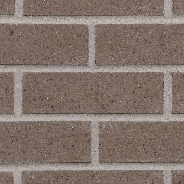 Palmetto Brick 1.25 Greystone Wirecut