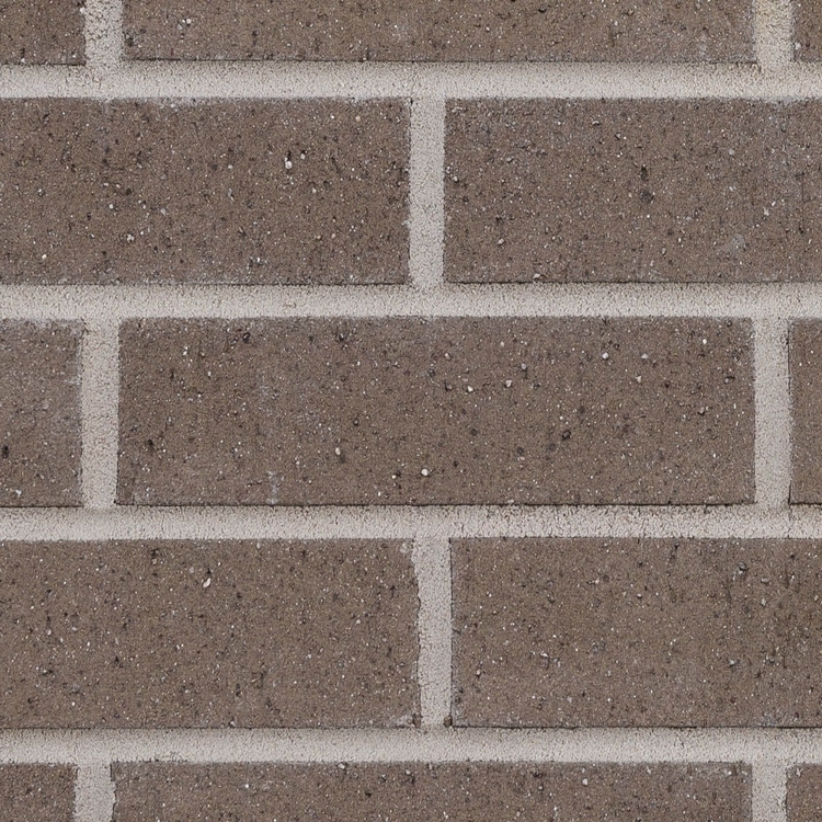 Palmetto Brick 2.0 Greystone Wirecut